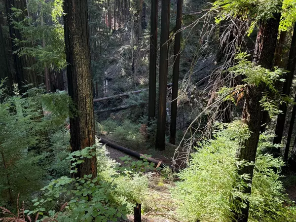 Boulder Creek, CA 95006,449 Band RD