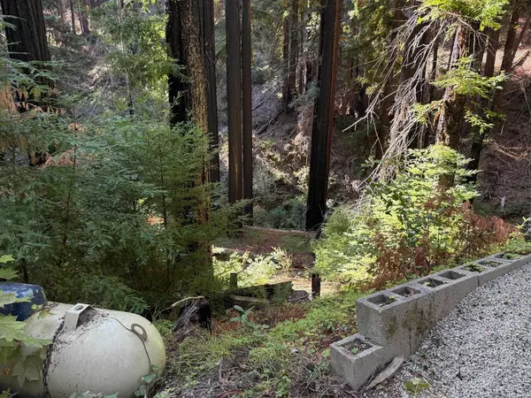 Boulder Creek, CA 95006,449 Band RD