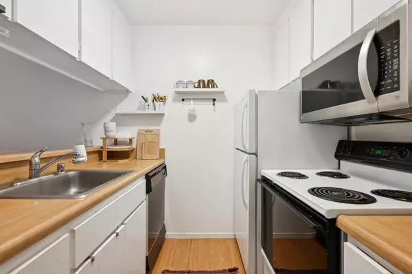 San Bruno, CA 94066,5232 Shelter Creek LN