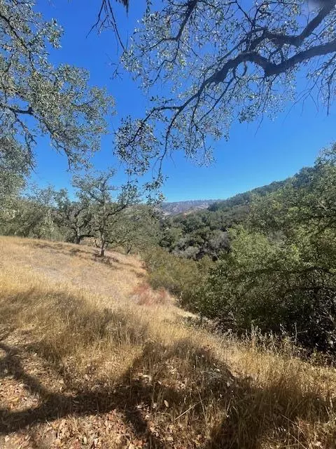 Carmel Valley, CA 93924,0 Cachagua RD