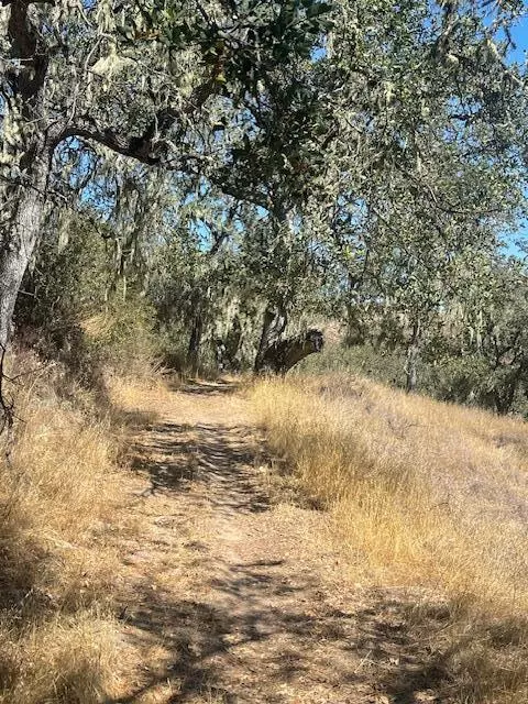 Carmel Valley, CA 93924,0 Cachagua RD