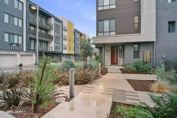 Fremont, CA 94538,3713 Vision CMN 1007