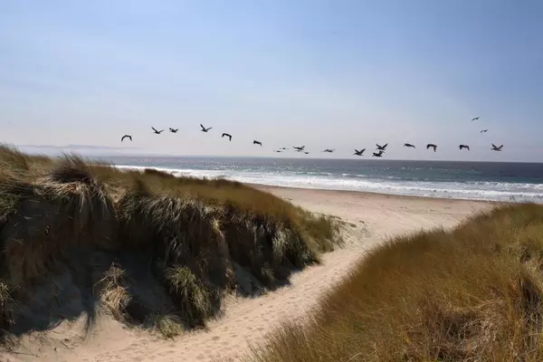 La Selva Beach, CA 95076,101 Shell DR 45