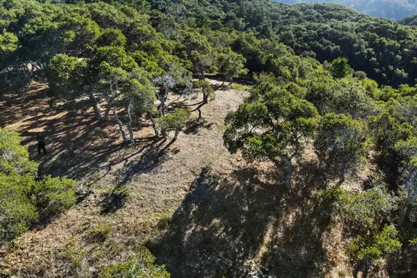 Carmel, CA 93923,9 Corral RUN