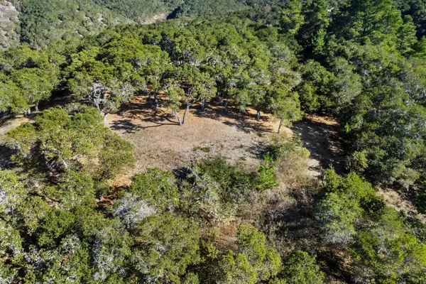 Carmel, CA 93923,9 Corral RUN