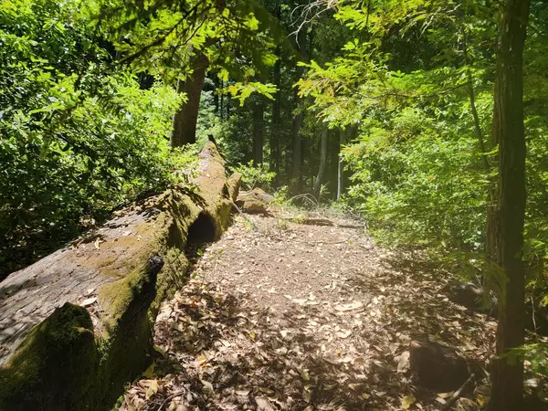 0 Lost Valley RD, Los Gatos, CA 95033