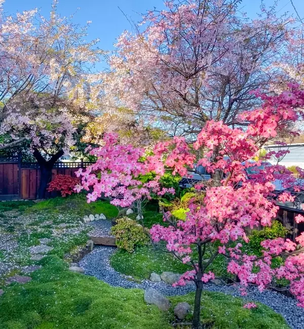 San Mateo, CA 94401,1318 Huron AVE