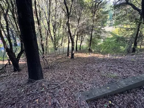 Santa Cruz, CA 95065,4571 Branciforte DR