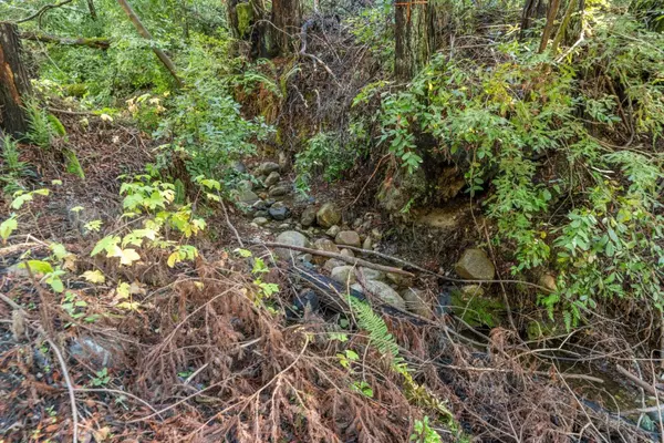 Felton, CA 95018,4 Old Mill AVE