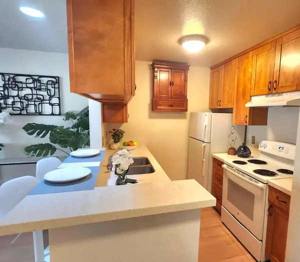 Daly City, CA 94015,377 Mandarin DR 204