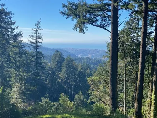 Woodside, CA 94062,47 Forest View RD