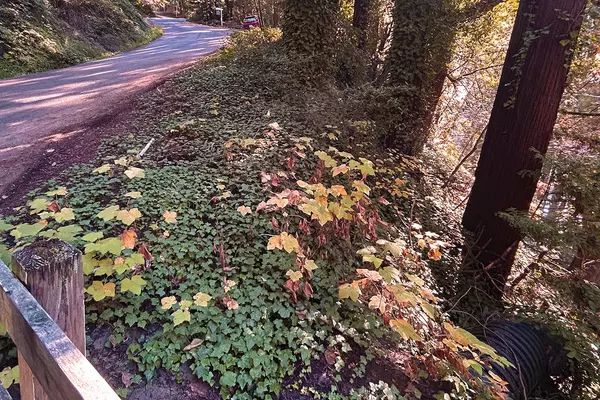 Brookdale, CA 95007,00 Riverside RD