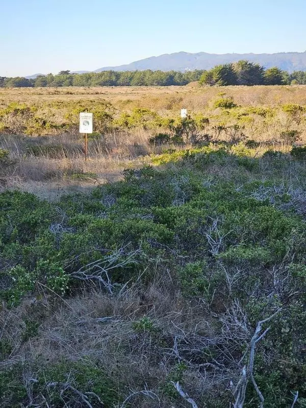 0 Rose AVE, Half Moon Bay, CA 94019