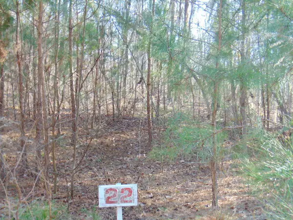 22 Parklin LN Lane, Elloree, SC 29047