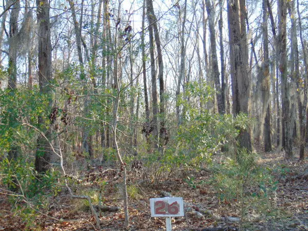 26 & 27 Parklin LN Lane, Elloree, SC 29047