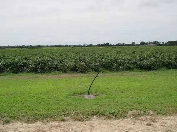 Sumter, SC 29153,0 Lake Ashwood Rd & Ammons Rd