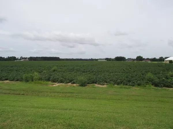 Sumter, SC 29153,0 Lake Ashwood Rd & Ammons Rd