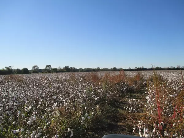 Sumter, SC 29153,0 Off Ammons RD Road