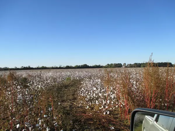 Sumter, SC 29153,0 Off Ammons RD Road