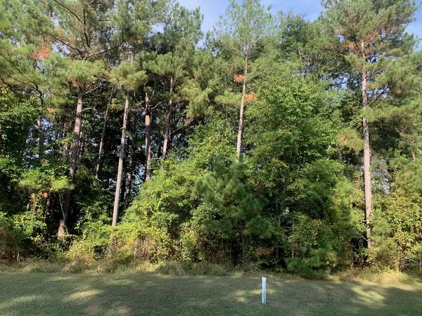 2345 Watersong RUN Run, Sumter, SC 29150