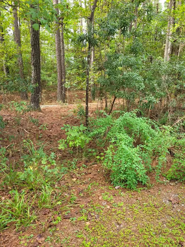 Lot  21 Wildwood LN Lane, Elloree, SC 29047