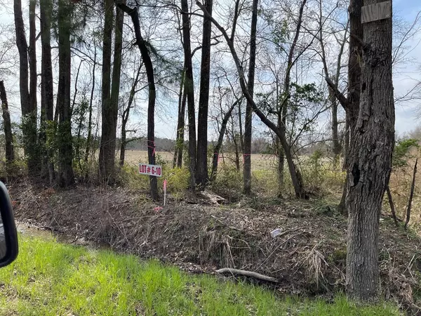 Sumter, SC 29153,Lot 1 W Brewington RD Road