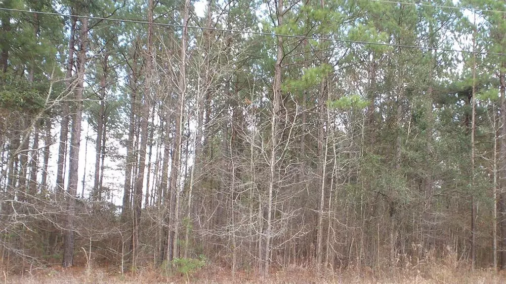 Holly Hill, SC 29059,104 County RD Road