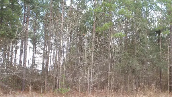 104 County RD Road, Holly Hill, SC 29059