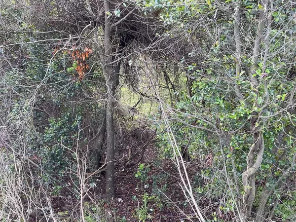 Dalzell, SC 29040,0 Camden Hwy Red Lane RD Road