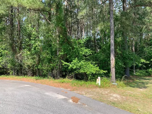 Sumter, SC 29150,500 Torrey Pines DR Drive