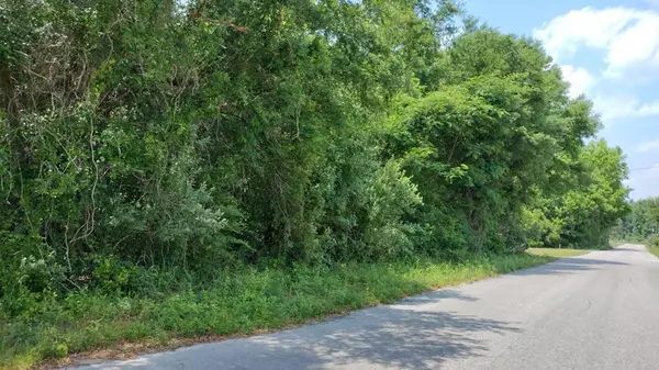Manning, SC 29102,1393 Meagen LN Lane