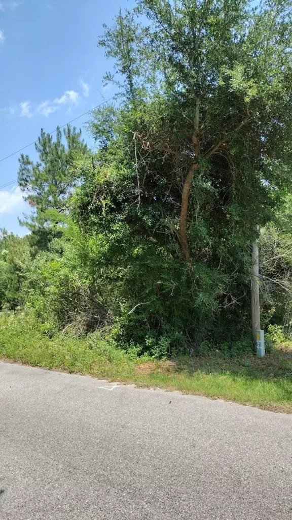 Manning, SC 29102,00 lot2 Meagen LN Lane