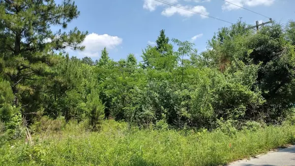 Manning, SC 29102,00 lot3 Meagen LN Lane