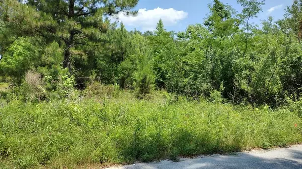Manning, SC 29102,00 lot3 Meagen LN Lane