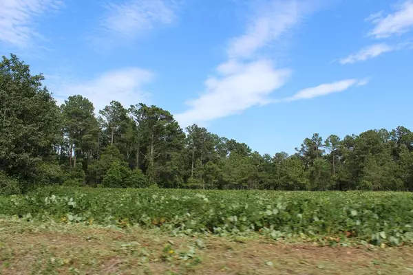 3455 Peach Orchard RD Road, Dalzell, SC 29040