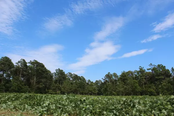 Dalzell, SC 29040,3435 Peach Orchard RD Road