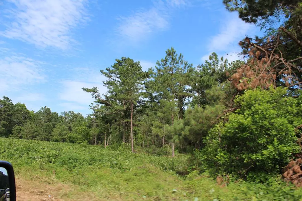 Dalzell, SC 29040,3405 Peach Orchard RD Road