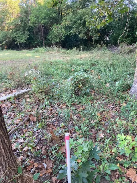 Stateburg, SC 29128,0 Florist LN Lane