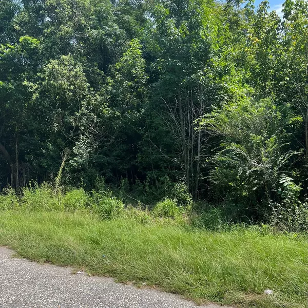 Alcolu, SC 29001,1643 Main ST Street