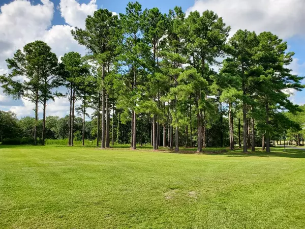 403 Pine Lake CT Court, Manning, SC 29102
