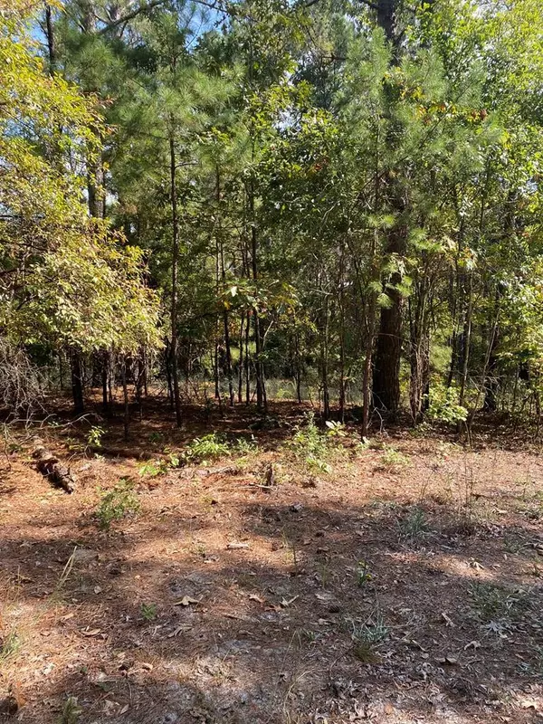 Dalzell, SC 29040,0 Clarkson RD Road