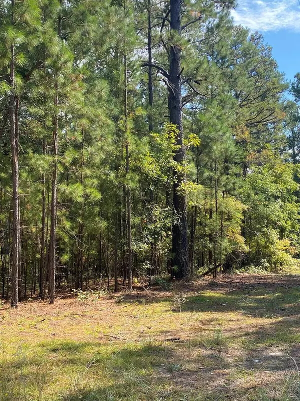 0 Clarkson RD Road, Dalzell, SC 29040