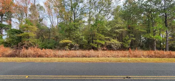 Lot 001 William Brunson RD Road, Summerton, SC 29148