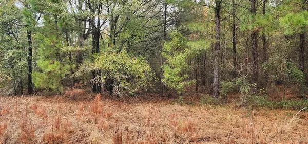 Summerton, SC 29148,Lot 001 William Brunson RD Road