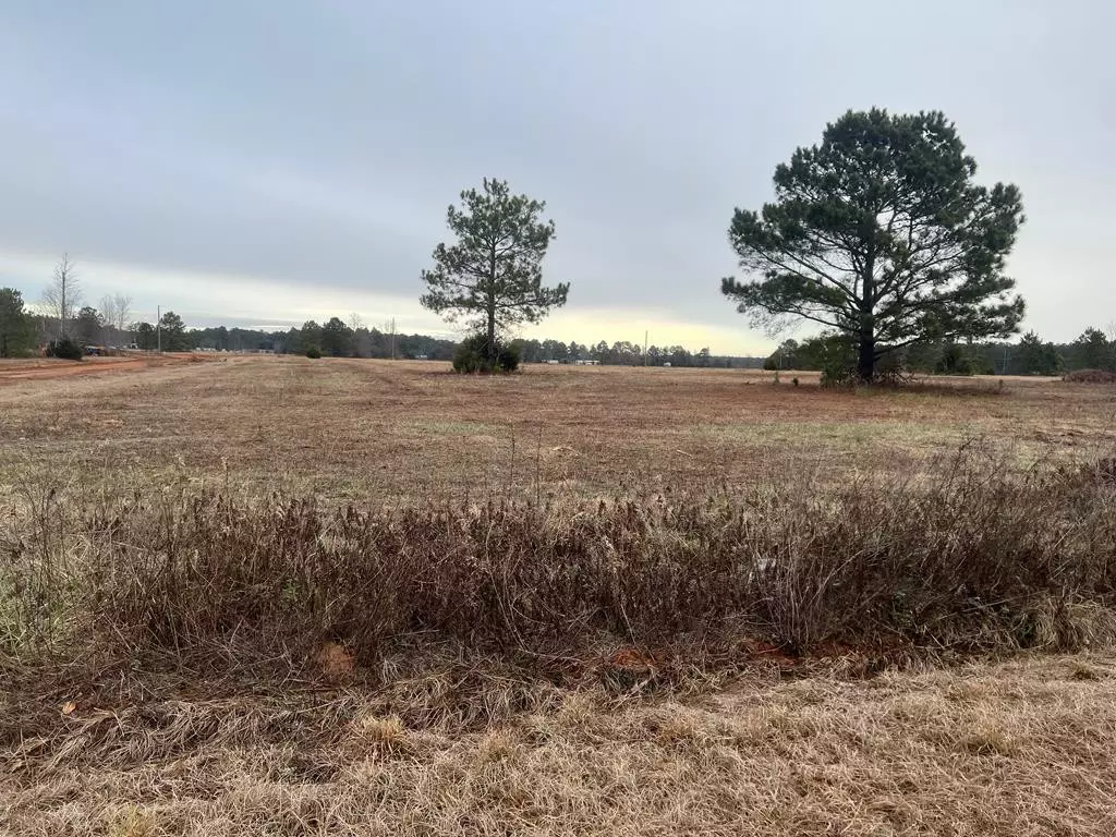 Wedgefield, SC 29168,5605 Tillman Nursery RD Road