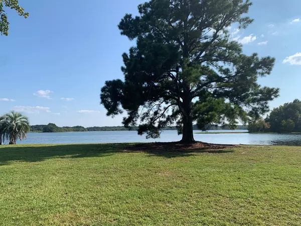 Summerton, SC 29148,TBD Blackberry Bush RD Road