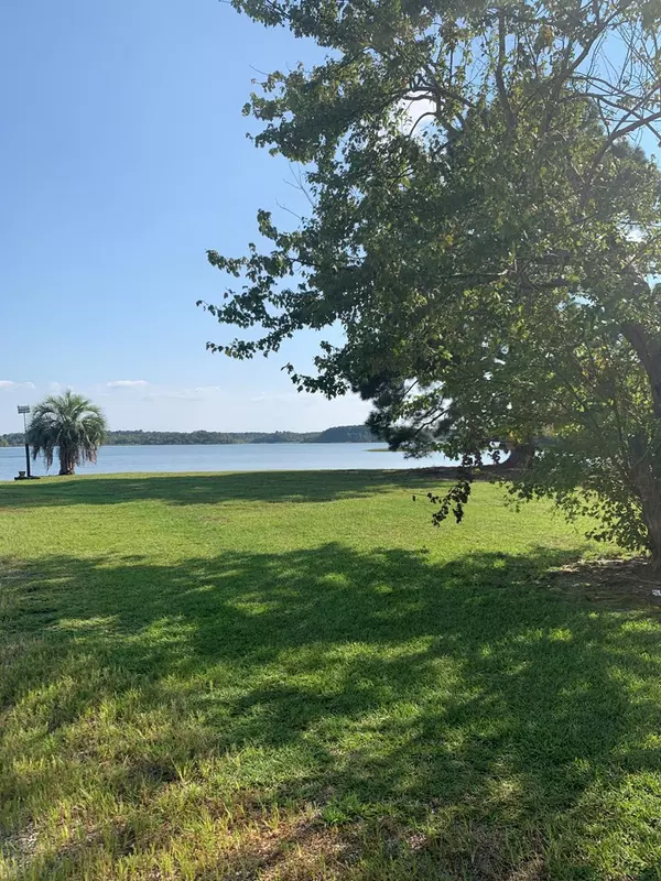 Summerton, SC 29148,TBD Blackberry Bush RD Road