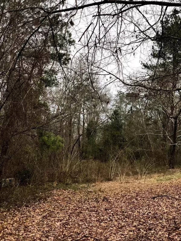 5085 Kenleigh DR Drive, Dalzell, SC 29040