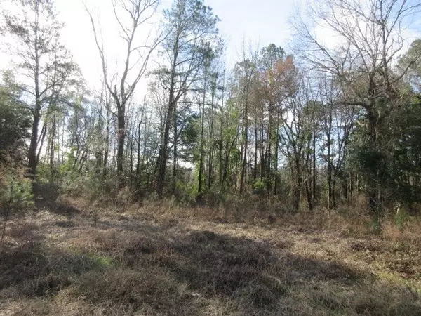 Sumter, SC 29150,3380 Grinders