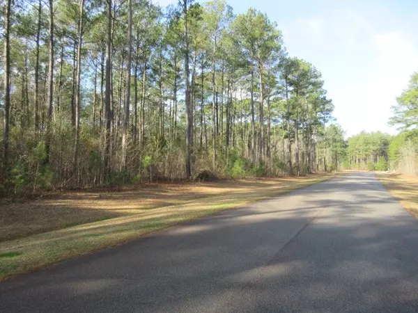 Sumter, SC 29150,3460 Preserve CT Court